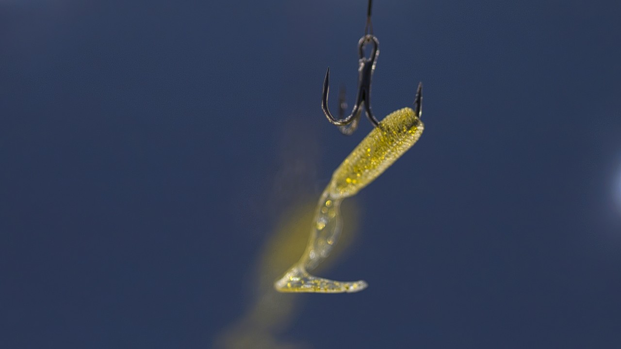 Come non abboccare al phishing