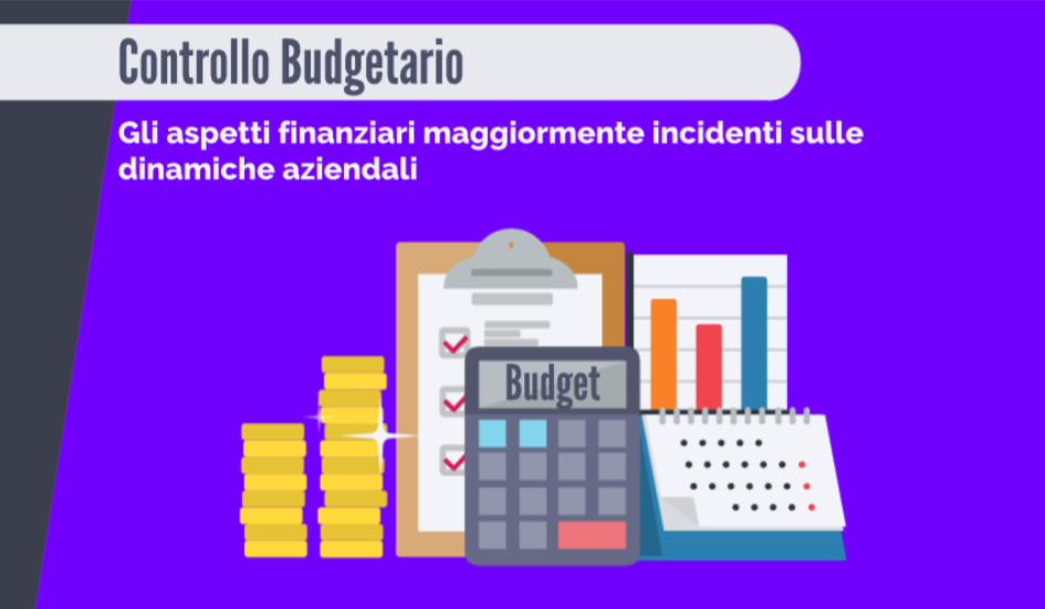 Il Controllo Budgetario 